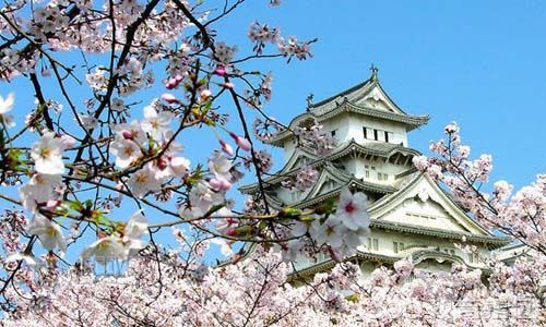 大阪四葉草學院